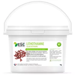 ESC LITHOTHAMNE – Reminéralisation et acidité gastrique cheval – Plante pure