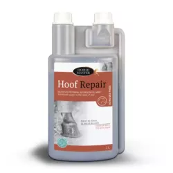 hoof-repair.webp