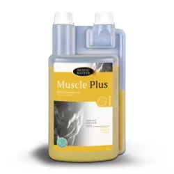 muscle-plus.webp